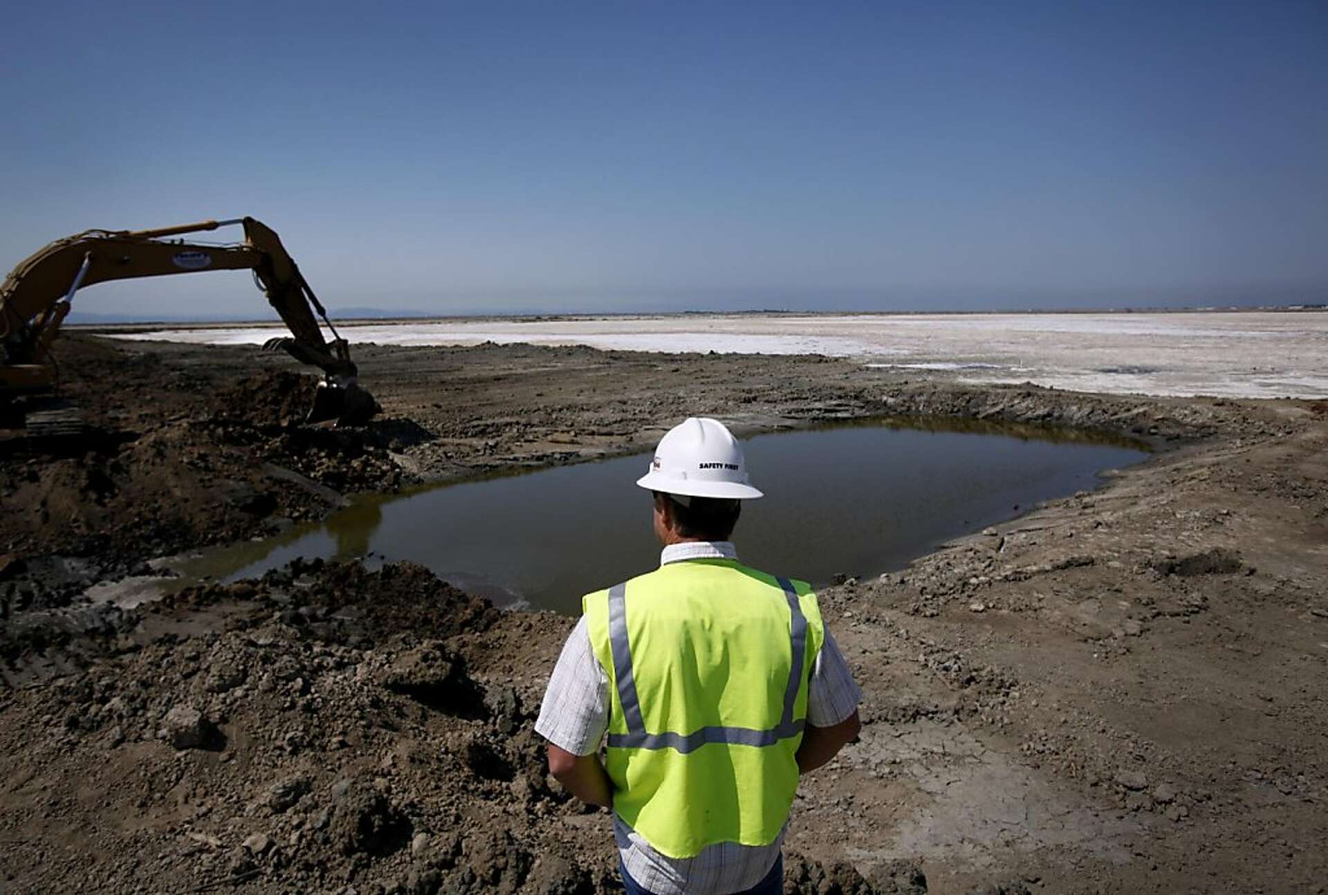 Overview of restored wetlands near Los Angeles